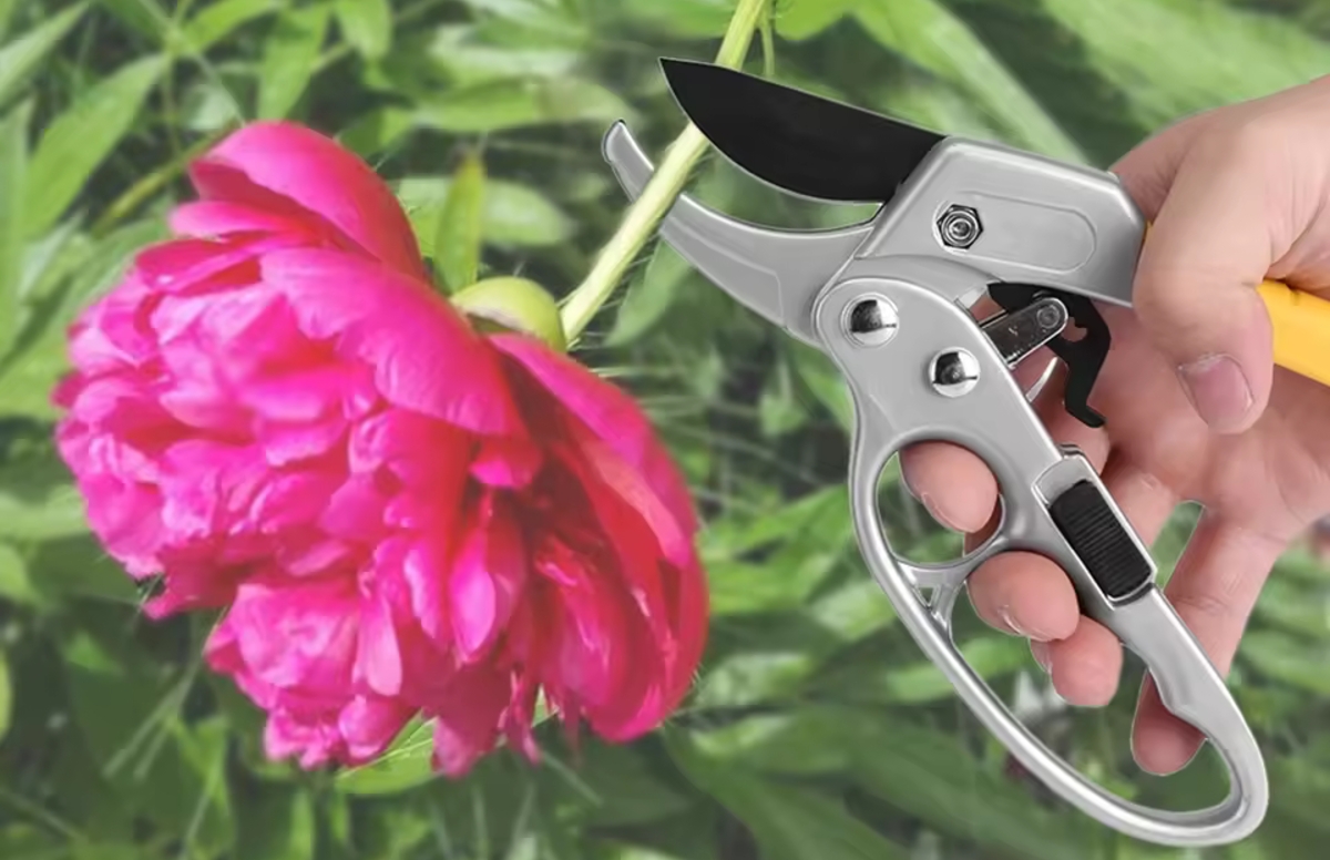 Fdit High Carbon Steel Pruning