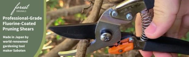 Saboten 7.9" Japanese Pruning