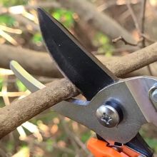 Closeup of Fluorine Coated Pruning Shear Blades