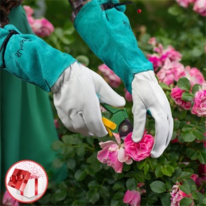 rose purning gloves