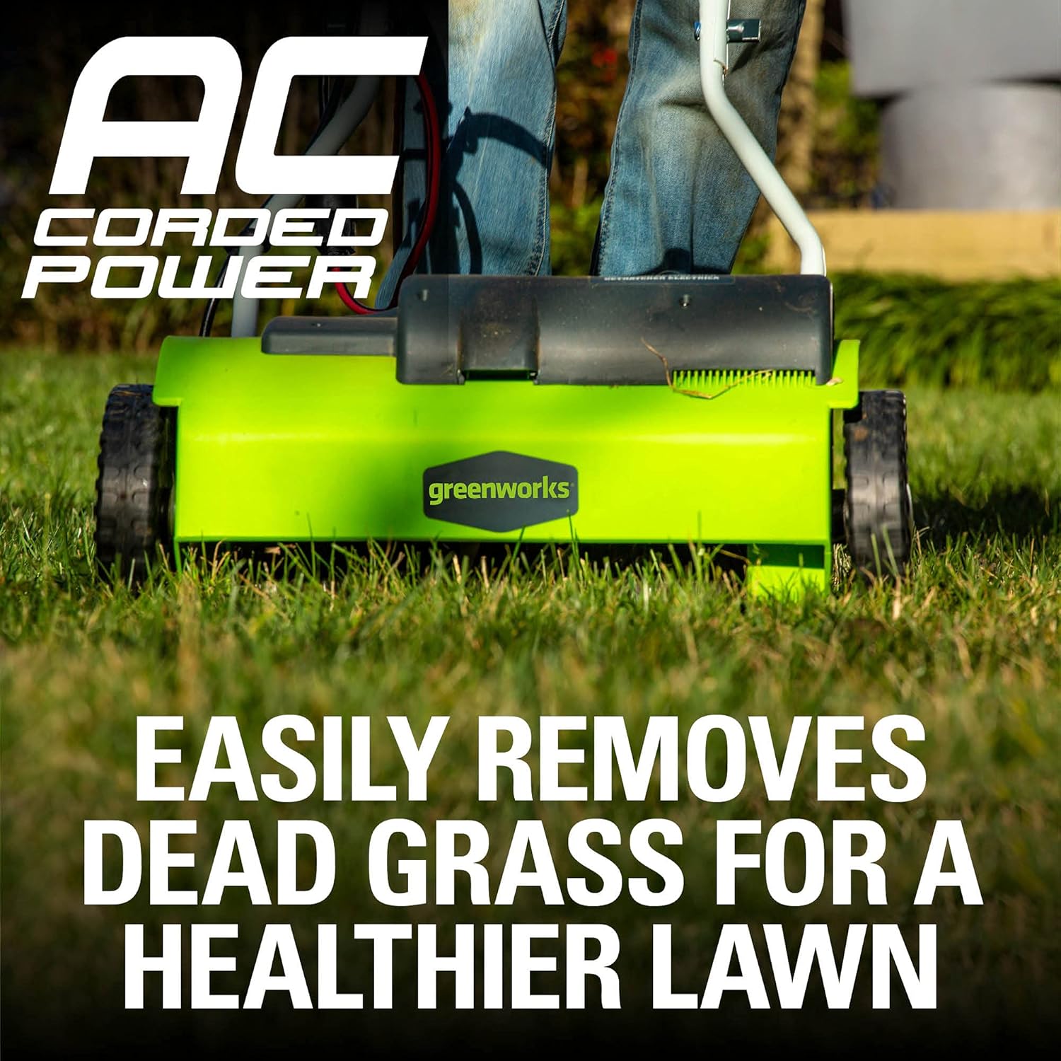 Greenworks 10 Amp 14” Corded Electric Dethatcher Review 4 Greenworks 10 Amp 14” Corded Electric Dethatcher (Stainless Steel Tines)