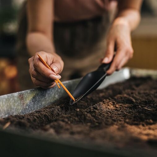 A person planting a seedling  Description automatically generated