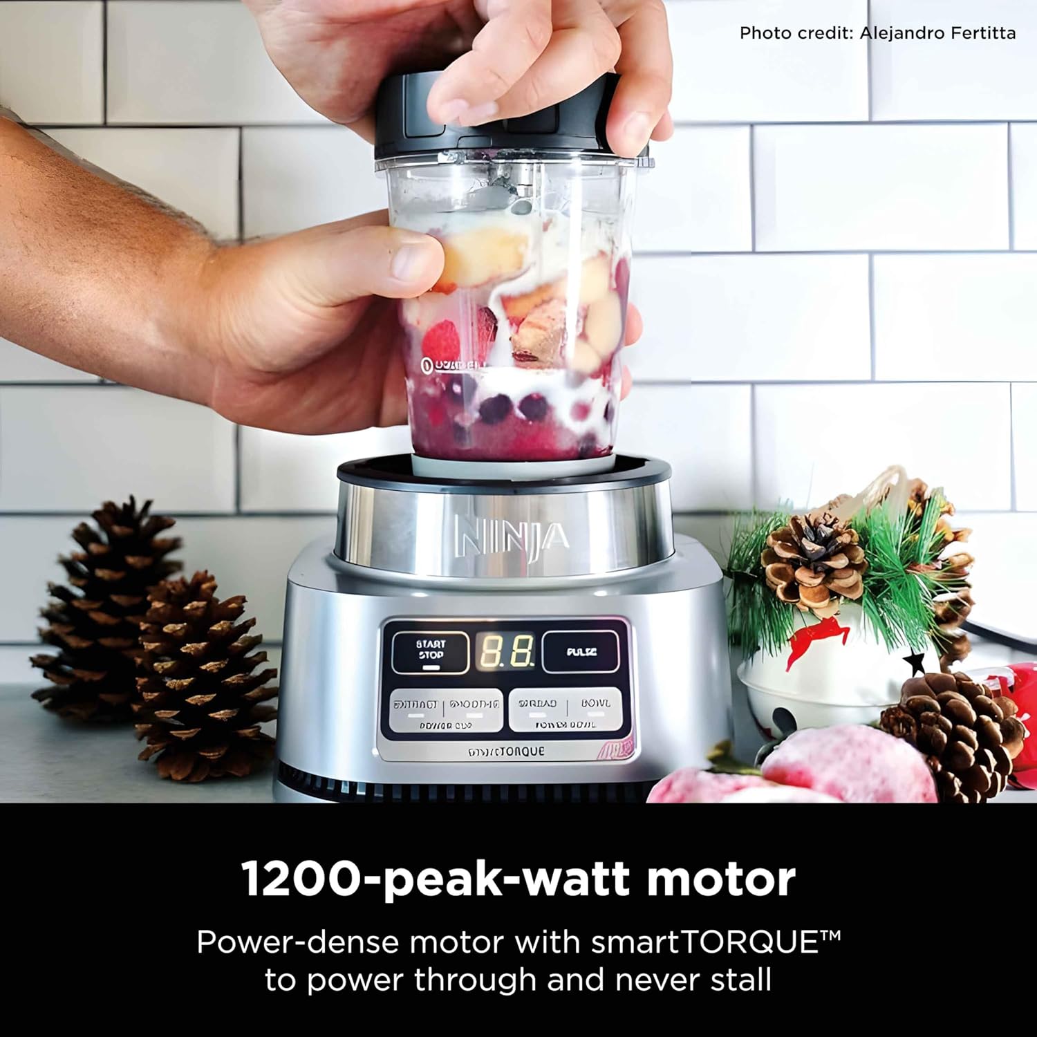 A hand holding a blender with a blender and pinecones  Description automatically generated