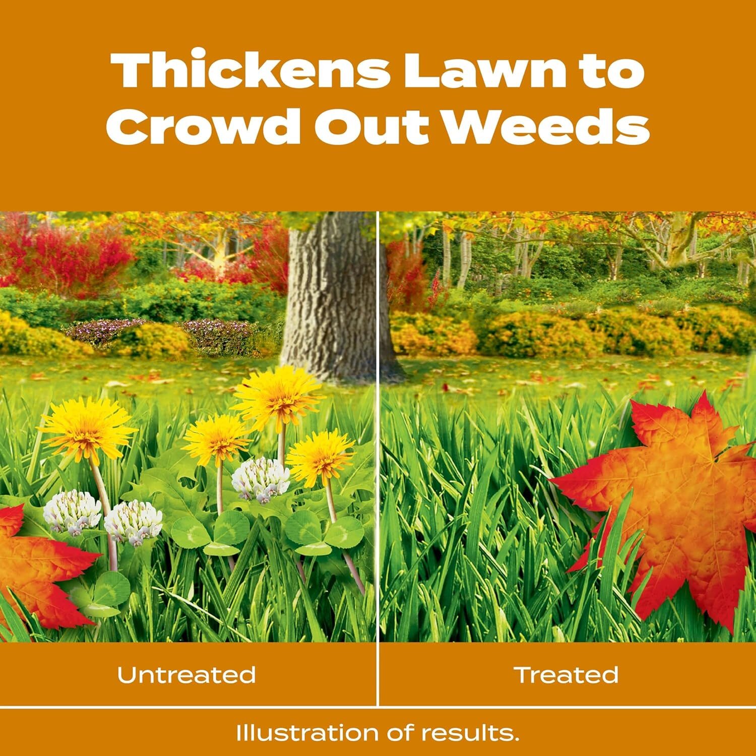 Scotts Turf Builder WinterGuard Fall Weed & Feed5