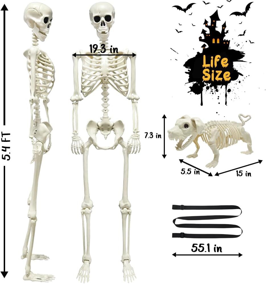 LUKBERA Halloween Skeleton Decorations, 5.4ft Life Size 4 Picture 4 3