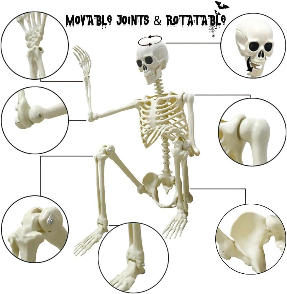LUKBERA Halloween Skeleton Decorations, 5.4ft Life Size 5 Picture 5 1