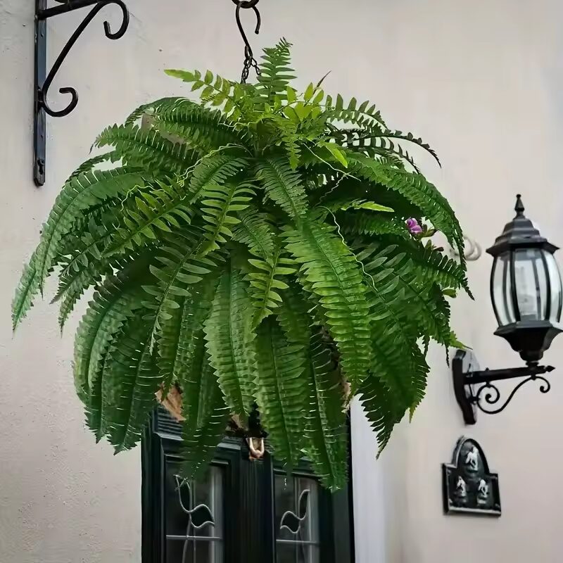 Best Indoor Plants for Low Light Conditions for Every Room 4 Mini Artificial Green Potted Fern